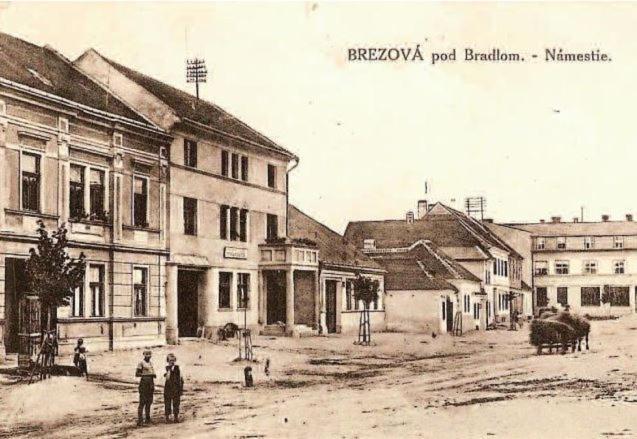 Penzion Tvarozek *** Brezova pod Bradlom Luaran gambar